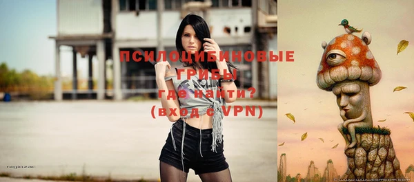 прущие грибы Арсеньев