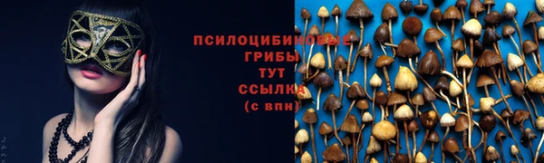прущие грибы Арсеньев