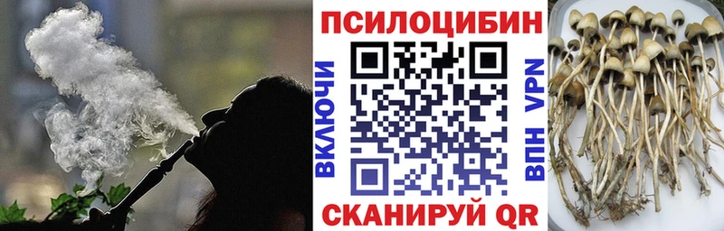 Галлюциногенные грибы Psilocybe  Оха 