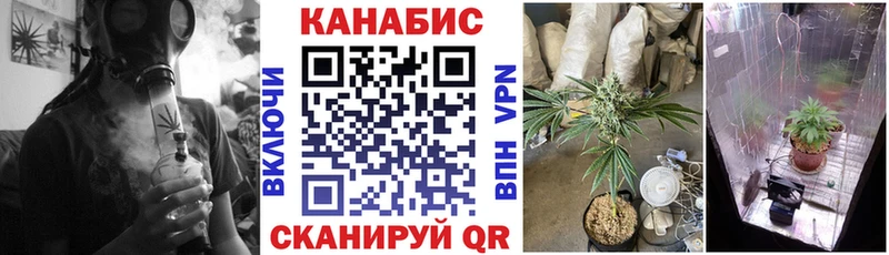 Бошки марихуана гибрид  ссылка на мегу ссылка  Оха 